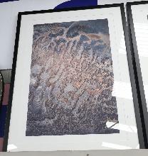 Lot 5