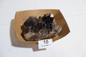 Lot 10
