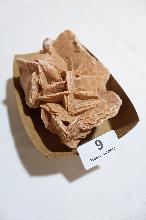 Lot 9