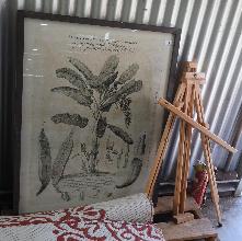 Lot 6