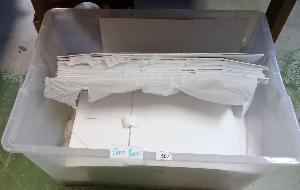 Lot 507