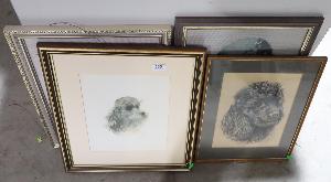 Lot 565