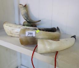 Lot 295