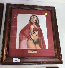 Lot 342