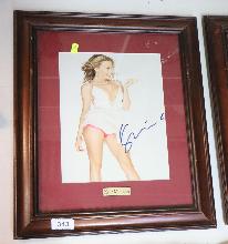 Lot 343