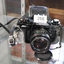 Lot 266