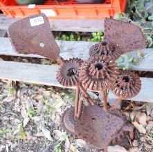Lot 508
