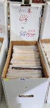 Lot 584