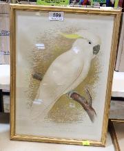 Lot 599