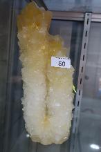 Lot 50