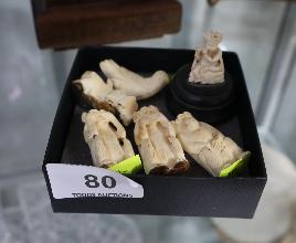 Lot 80