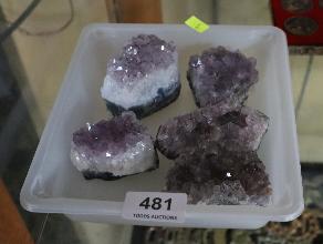 Lot 481