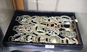 Lot 484A