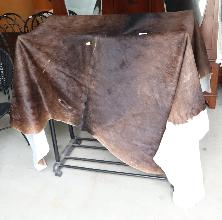 Lot 75