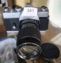 Lot 341