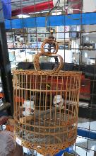 Lot 40