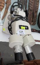 Lot 124