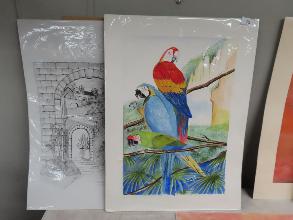 Lot 15
