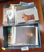 Lot 166
