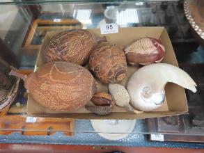 Lot 95