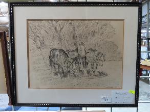Lot 11