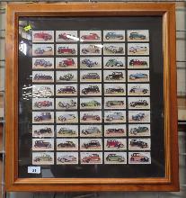 Lot 31