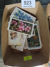 Lot 523