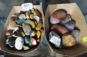 Lot 561