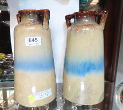 Lot 645
