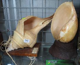 Lot 743