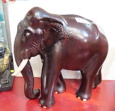 Lot 788