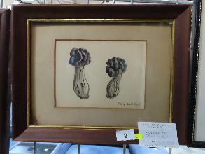 Lot 9