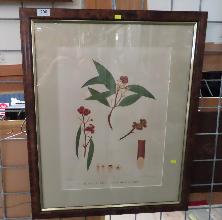 Lot 200