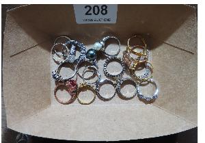 Lot 208