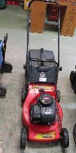 Lot 542