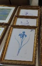 Lot 563