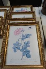 Lot 564