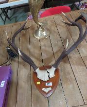 Lot 661