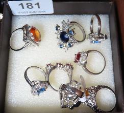 Lot 181