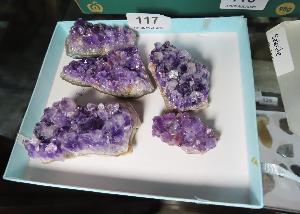 Lot 117