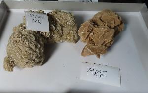 Lot 122