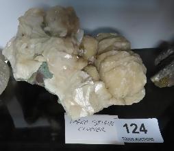 Lot 124