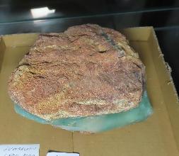 Lot 128