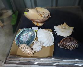 Lot 211