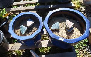Lot 13