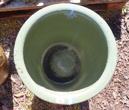 Lot 21
