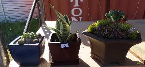 Lot 27