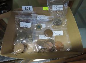 Lot 509