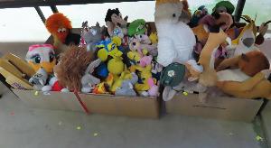 Lot 665