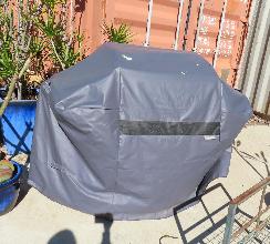 Lot 539